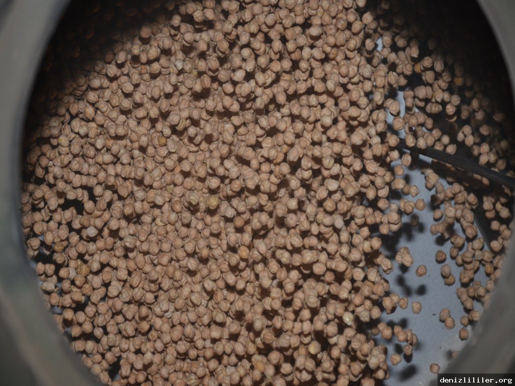 Yeni Bisiklet Yolları ile Sürdürülebilir Ulaşım Güçleniyor